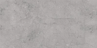 Керамогранит De Ceramica Glossy Hampton Grey А103 120х60 см