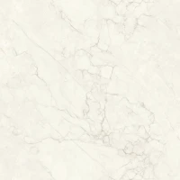 Maimoon Ceramica Carving Irina Beige 600х600